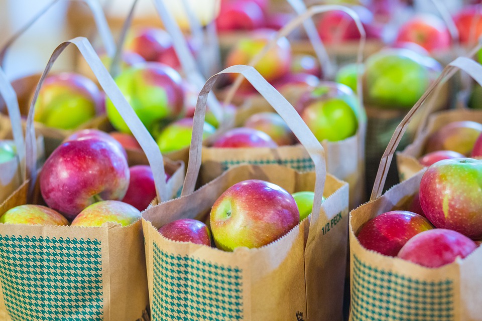 Ontario Apple Varieties - Types of Apples - OAG