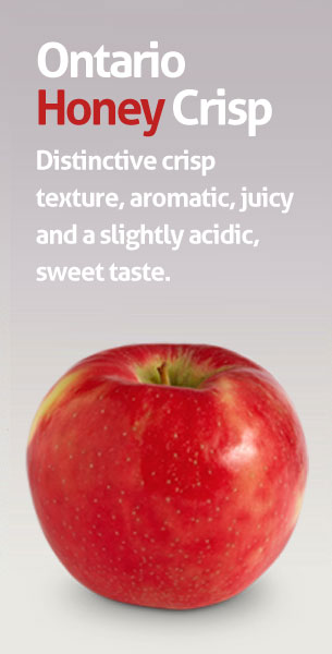 Honey Crisp